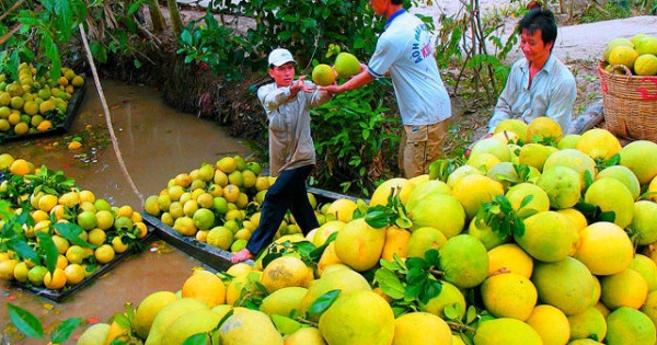 Để doanh nghiệp không “ngại” đăng ký bảo hộ nhãn hiệu sản phẩm