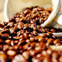 Giá nông sản ngày 2/5/2024: Cà phê bất ngờ giảm 1.200 đồng/kg, giá tiêu đi ngang