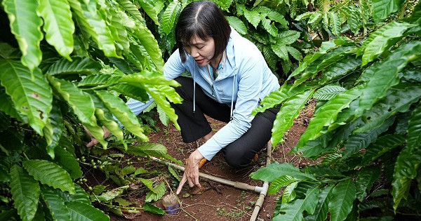 Nestlé công bố báo cáo tiến độ Chương trình NESCAFÉ Plan 2030