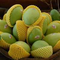 Cảnh báo dư lượng thuốc bảo vệ thực vật đối với mặt hàng nông sản xuất khẩu của Việt Nam