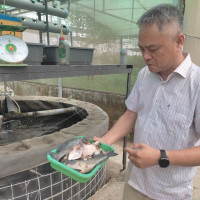 Aquaponics mô hình tiêu biểu cho nông nghiệp đô thị
