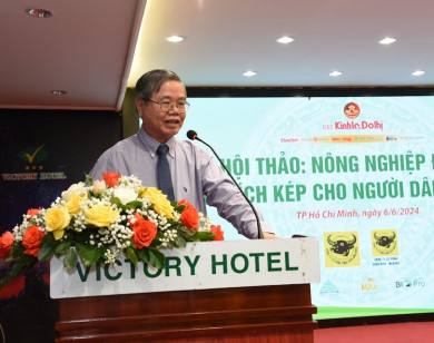 Phát triển nông nghiệp đô thị bền vững: Giải pháp nào cho Việt Nam?