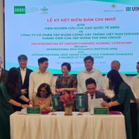 Vinaseed hợp tác phát triển với Viện nghiên cứu lúa Quốc tế (IRRI) về công nghệ và giống lúa
