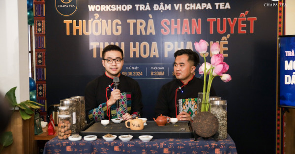 Trà Shan Tuyết – Trà quý hiếm của Việt Nam được chọn làm nguyên liệu trà Chapa Tea