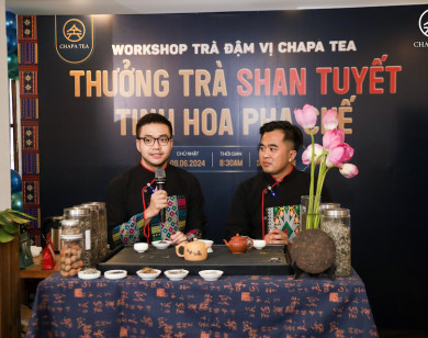 Trà Shan Tuyết – Trà quý hiếm của Việt Nam được chọn làm nguyên liệu trà Chapa Tea