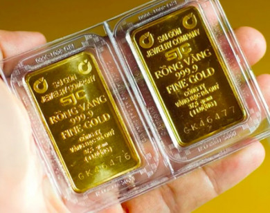 Giá vàng ngày 11/6/2024: Giá SJC đứng im, vàng thế giới tăng nhẹ