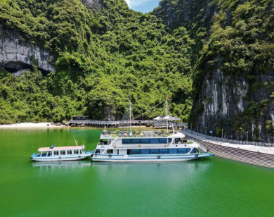 Xác minh, làm rõ tàu du lịch bỏ rơi khách trên vịnh Hạ Long