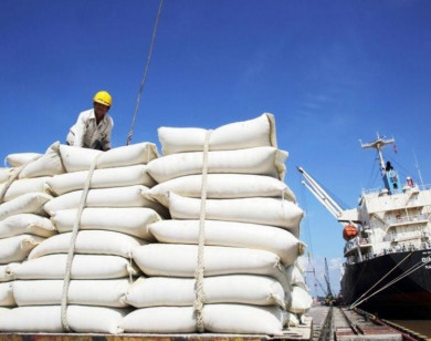 Philippines giảm thuế nhập khẩu gạo, gia tăng cơ hội cho doanh nghiệp Việt