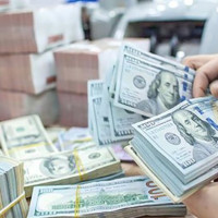 Giá ngoại tệ hôm nay 14/7/2024: USD tiếp tục giảm, về sát mốc 104 điểm