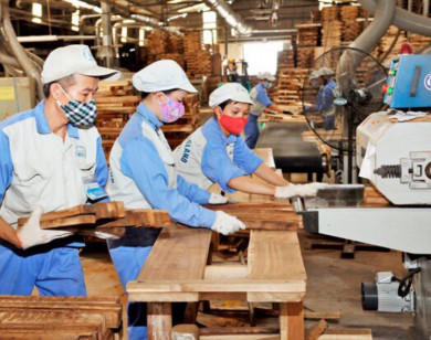 Mỹ hủy bỏ điều tra chống lẩn tránh thuế chống bán phá giá với tủ gỗ nhập khẩu từ Việt Nam