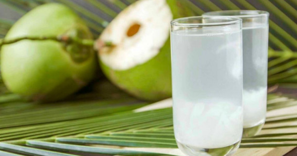 Uống nước dừa mỗi ngày đem lại những lợi ích gì?