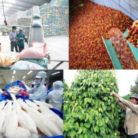 Thặng dư thương mại toàn ngành nông nghiệp 6 tháng đầu năm đạt 8,28 tỷ USD