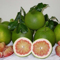 Quả bưởi của Việt Nam chính thức được phép nhập khẩu vào Hàn Quốc