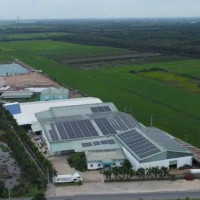 Khởi tố Giám đốc Công ty TNHH An Hưng Nông về hành vi xả thải trái phép ra môi trường