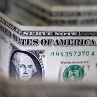 Giá ngoại tệ hôm nay 13/8/2024: Đồng USD ổn định ở mức 103,12 điểm