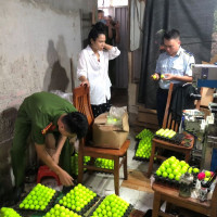 Tạm giữ 33.500 quả bóng golf có dấu hiệu giả mạo nhãn hiệu ở Yên Bái