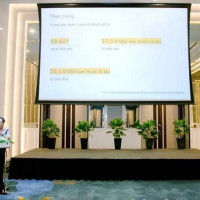 Cần làm rõ tác động tăng thuế - thuốc lá lậu - thu ngân sách