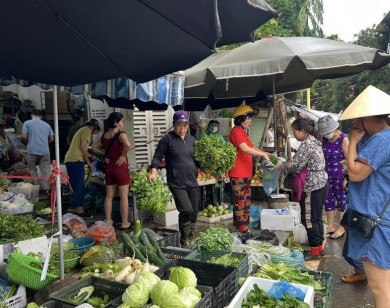 Hà Nội: Thực phẩm, hàng hóa thiết yếu dồi dào sau bão