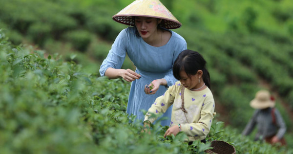 Du lịch trang trại: "Món ăn lạ" đang trở thành xu hướng phát triển bền vững