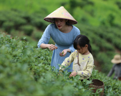 Du lịch trang trại: "Món ăn lạ" đang trở thành xu hướng phát triển bền vững