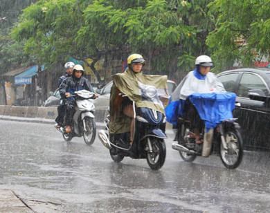 Thời tiết ngày 8/10/2024: Bắc Bộ sáng sớm có nơi có sương mù, ngày nắng