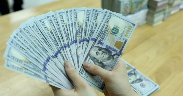 Giá ngoại tệ ngày 12/10/2024: USD đi ngang, ở mức 102,91 điểm