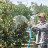 Hướng phát triển nào cho nông dân ở đô thị?