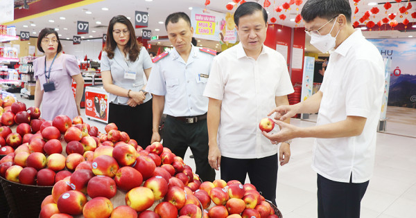 Rau, quả tồn dư thuốc bảo vệ thực vật: loại bớt độc tố bằng cách nào?