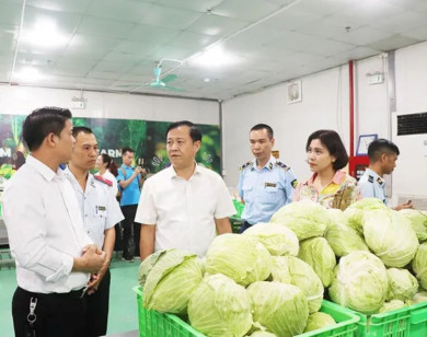 Dưa, cà muối bảo quản không an toàn: nguy cơ gây ngộ độc botulinum?