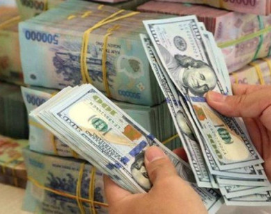 Giá ngoại tệ ngày 2/11/2024: USD tăng, lên mức 104,32 điểm