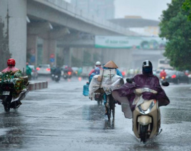 Thời tiết ngày 3/11/2024: Miền Bắc ngày nắng, miền Trung mưa lớn