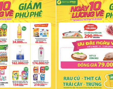 Từ 10/11 – 17/11, ngày 10 lương về, Bách hóa Xanh giảm phủ phê