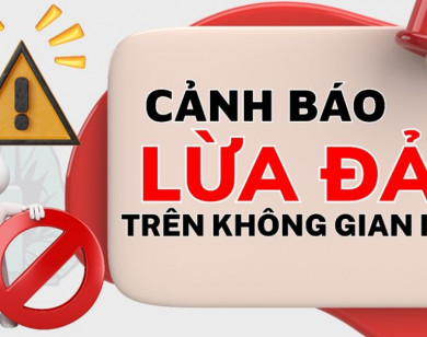 Mạo danh nhân viên đơn vị cung cấp ví điện tử để lừa đảo