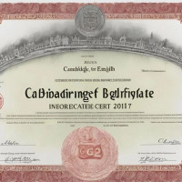 TP Hồ Chí Minh: Khẩn trương rà soát cán bộ dùng chứng chỉ 'Cambridge International'