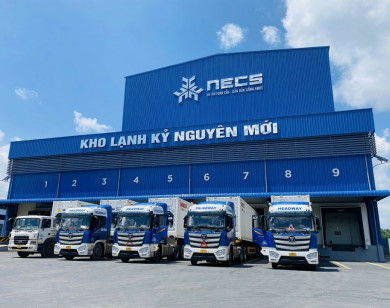 NECS chính thức được Tổng cục Hải quan cho phép mở dịch vụ kho lạnh ngoại quan