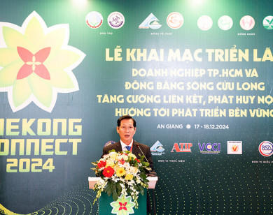 Mekong Connect 2024: Thúc đẩy liên kết kinh tế vùng, kết nối với TP Hồ Chí Minh và cả nước