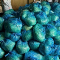 Vụ 3.000 tấn giá đỗ ngậm chất cấm ở Đắk Lắk: Cục Chất lượng, Chế biến và Phát triển thị trường vào cuộc