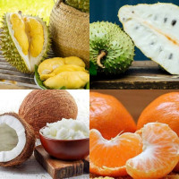 Tiêu dùng trong tuần (23/12-29/12/2024): Mãng cầu xiêm, trái cây có múi... giá giảm thấp
