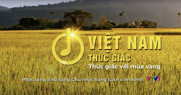 Phân Bón Cà Mau miệt mài “Thức Giấc Với Mùa Vàng"