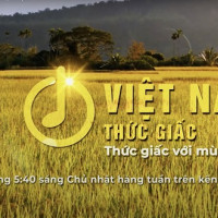 Phân Bón Cà Mau miệt mài “Thức Giấc Với Mùa Vàng