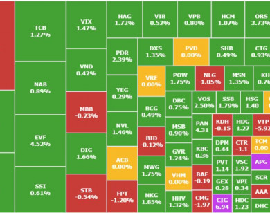 Chứng khoán 8/1: VN-Index đảo chiều tăng, cổ phiếu Hoàng Anh Gia Lai bùng nổ giao dịch