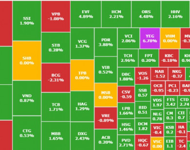 Chứng khoán 13/1: VN-Index phục hồi hơn 5 điểm nhờ nhóm chứng khoán