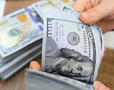 Giá ngoại tệ ngày 14/1/2025: USD đảo chiều tăng