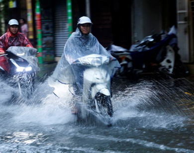 Thời tiết ngày 15/1/2025: Tây Nguyên, Nam Bộ có mưa rào và dông