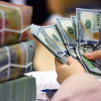 Giá ngoại tệ ngày 11/2/2025: USD tăng vọt do lo ngại về thuế quan