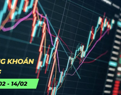 Chứng khoán tuần 10/2-14/2: VN-Index tạo nền tích lũy, khối ngoại giao dịch trái chiều