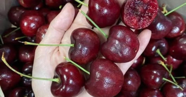 Nguyên nhân khiến cherry Chile có giá rẻ bất ngờ