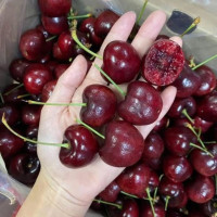 Nguyên nhân khiến cherry Chile có giá rẻ bất ngờ