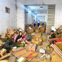 Đắk Lắk: Thu giữ hơn 6 tấn mỹ phẩm không rõ nguồn gốc, xuất xứ