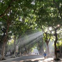 Thời tiết ngày 1/3/2025: Bắc Bộ có mưa, Nam Bộ nắng nóng